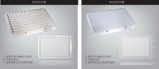 AXYGEN愛思進(jìn)八聯(lián)管板