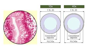 Olympus奧林巴斯CX31生物顯微鏡