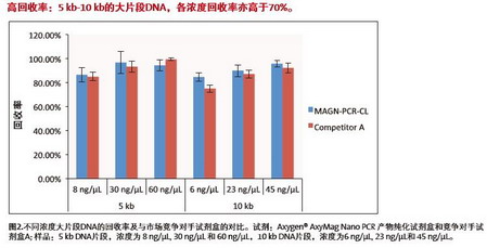 愛思進磁力架