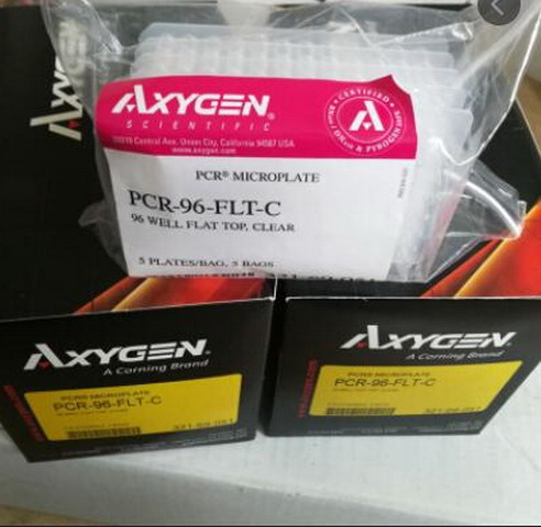 Axygen愛思進(jìn)0.2ml透明無裙邊96孔PCR板PCR-96-FLT-C