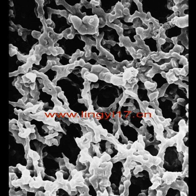 美國(guó)密理博 MF-Millipore 25mm混合纖維素酯濾膜SCWP02500