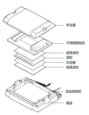 Trans-SD通用型半干轉(zhuǎn)印電泳槽