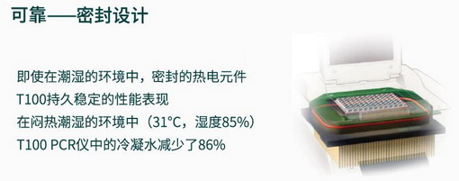 美國(guó)伯樂(lè)T100 PCR儀，1861096 pcr